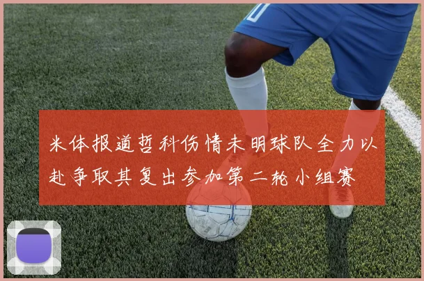 米体报道哲科伤情未明球队全力以赴争取其复出参加第二轮小组赛