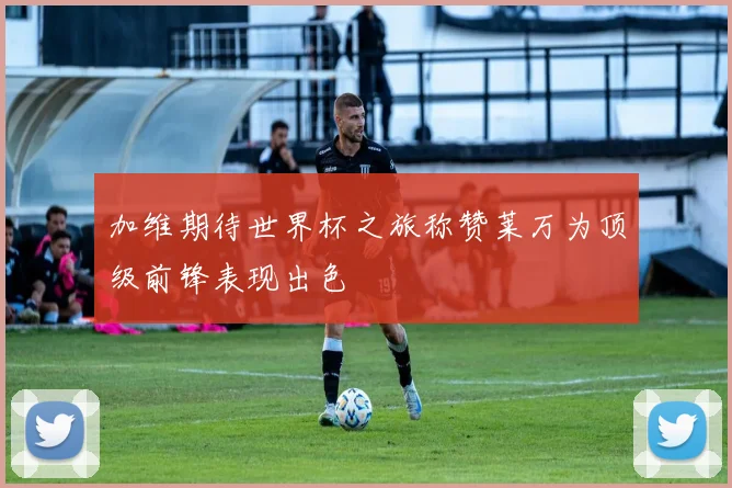 加维期待世界杯之旅称赞莱万为顶级前锋表现出色